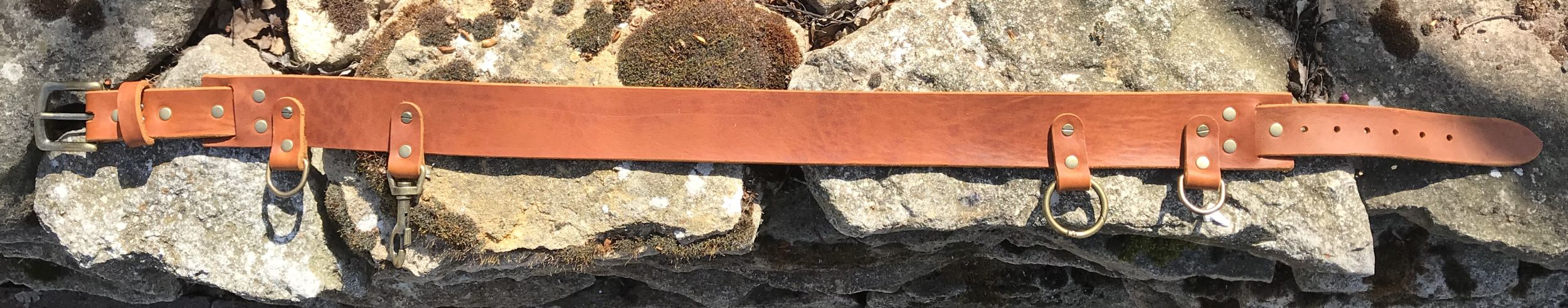 Gassigürtel - Canicross Gürtel aus Leder