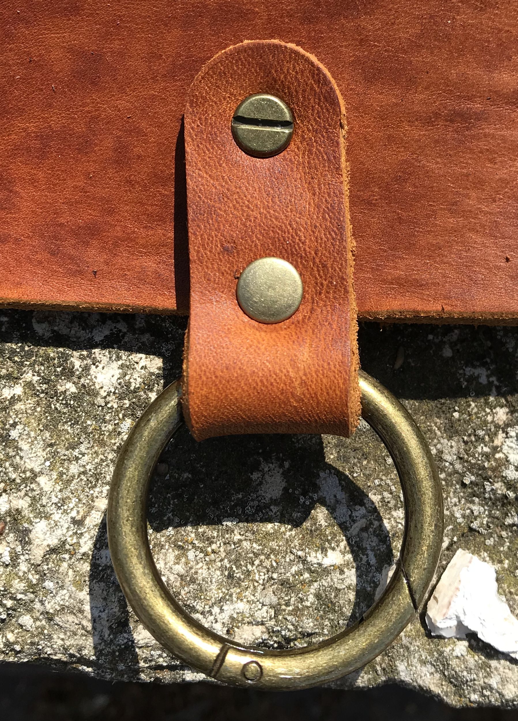 Zusatzschlaufe mit Karabiner für den Gassigürtel