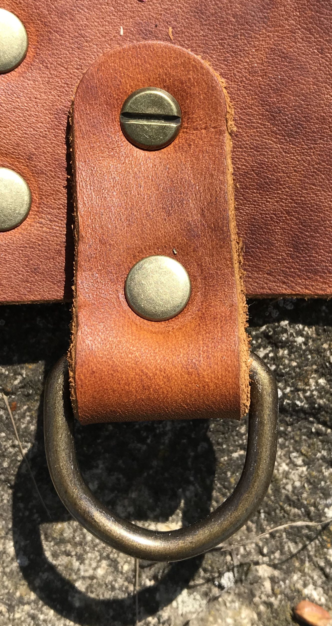 Zusatzschlaufe mit D-Ring für den Gassigürtel