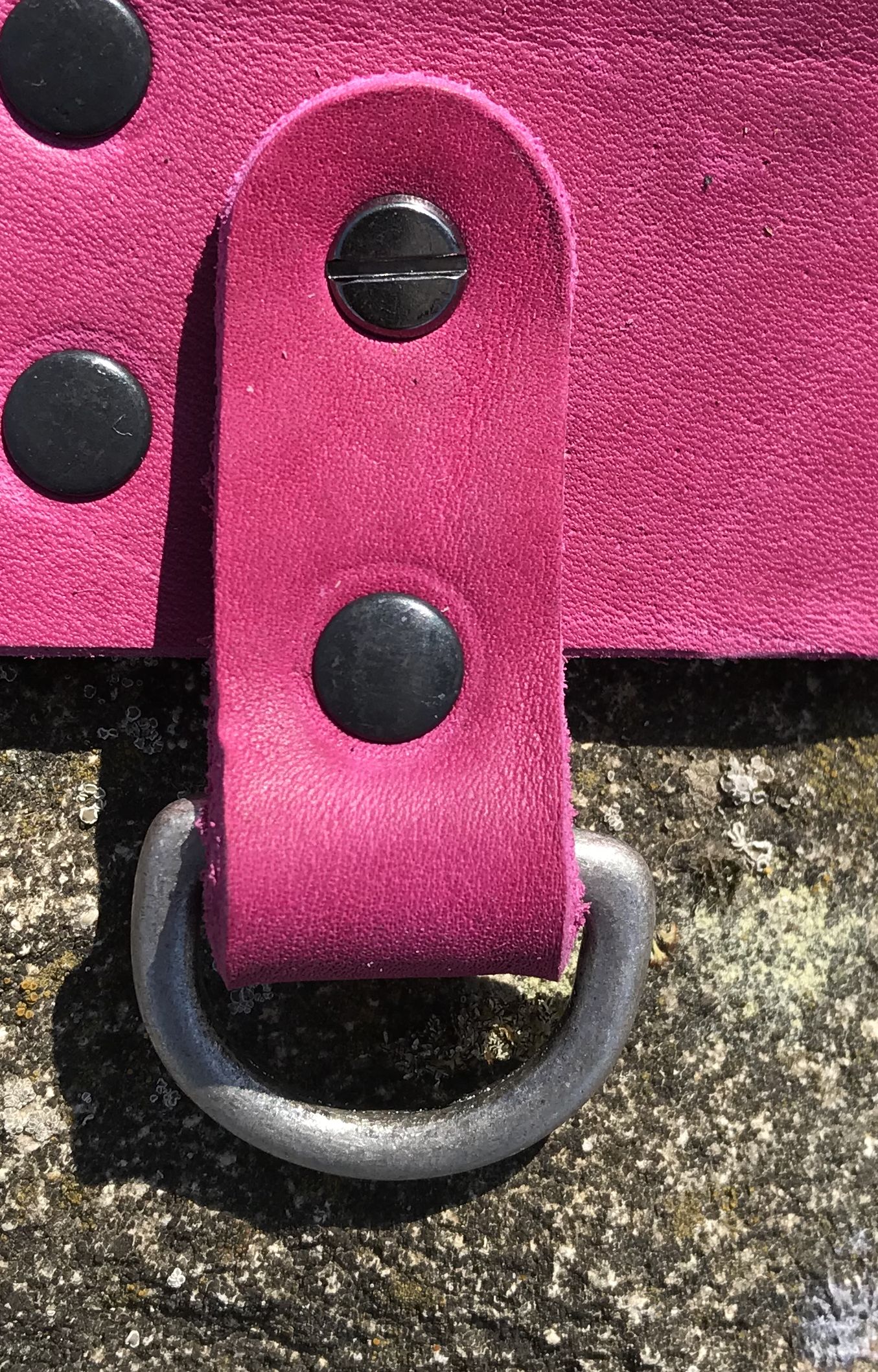 Zusatzschlaufe mit D-Ring für den Gassigürtel